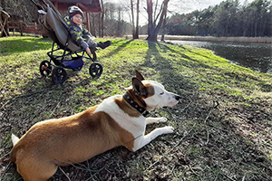 Отдых с домашним любимцем