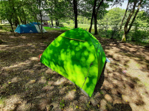 Что такое эко-туризм и как совмещать отдых на природе с воспитанием детей?