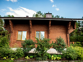 Фотогалерея "Лесной Эдем"