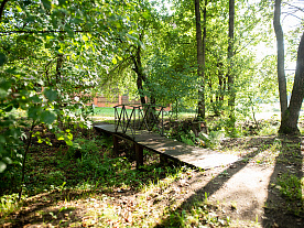 Фотогалерея "Лесной Эдем"