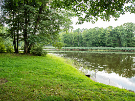 Фотогалерея "Лесной Эдем"