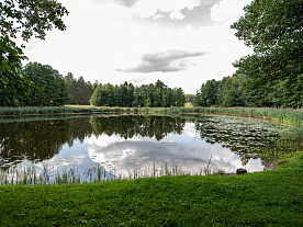 Фотогалерея "Лесной Эдем"