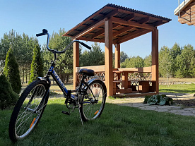 Фотогалерея "Лесной Эдем"