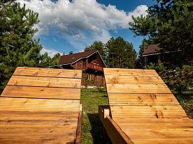 Фотогалерея "Лесной Эдем"