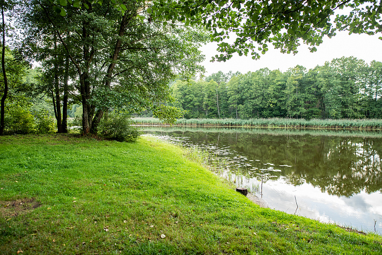 Поляна у озера 