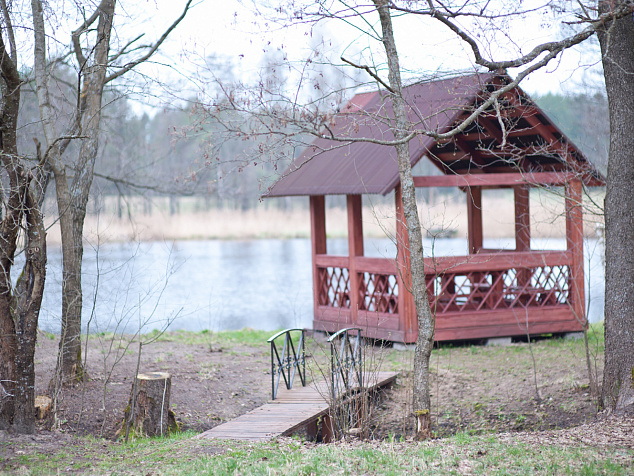 Поляна у озера 