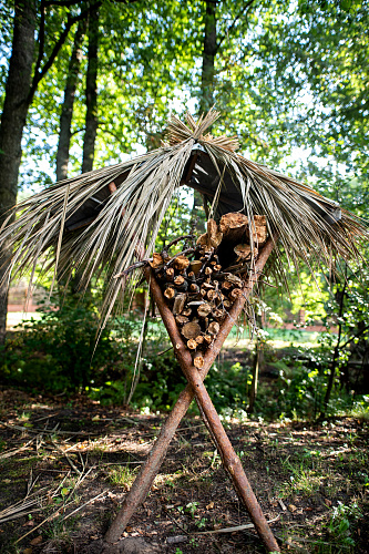 Поляна у озера 