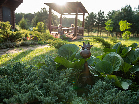 Фотогалерея "Лесной Эдем"