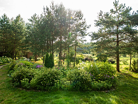 Фотогалерея "Лесной Эдем"